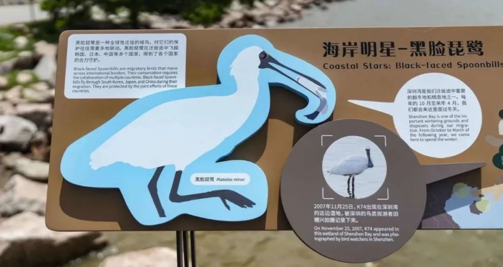 一个解说牌呈现的生态价值丨对话设计师