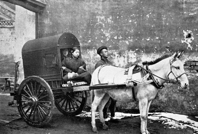 驴子等作为乘坐工具或乘坐工具的动力(如:马车),与此同时,轿子和以风