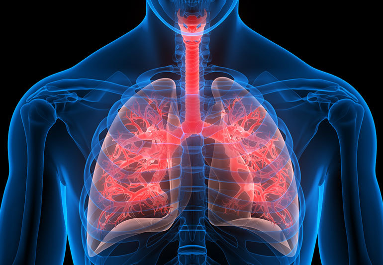 甲基紫精分子当成是5-羟色胺或者腐胺之类的内源性二胺/多胺给弄到