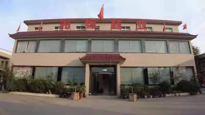 首期,走进偃师光辉鞋厂.