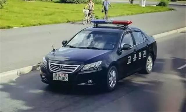 太酷了 盘点被选为警车的国产车 最后两款连国外警察都开上了 全网搜