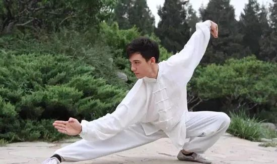 内家拳的功力能量竟然来自"重力"?