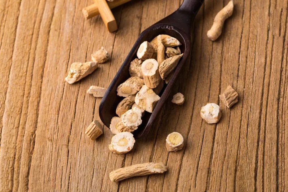 了解一味中药——板蓝根