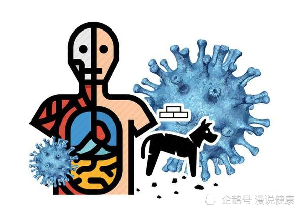 暑假将至 被狗咬伤了 一定要打狂犬疫苗 医生 分这些情况 腾讯网