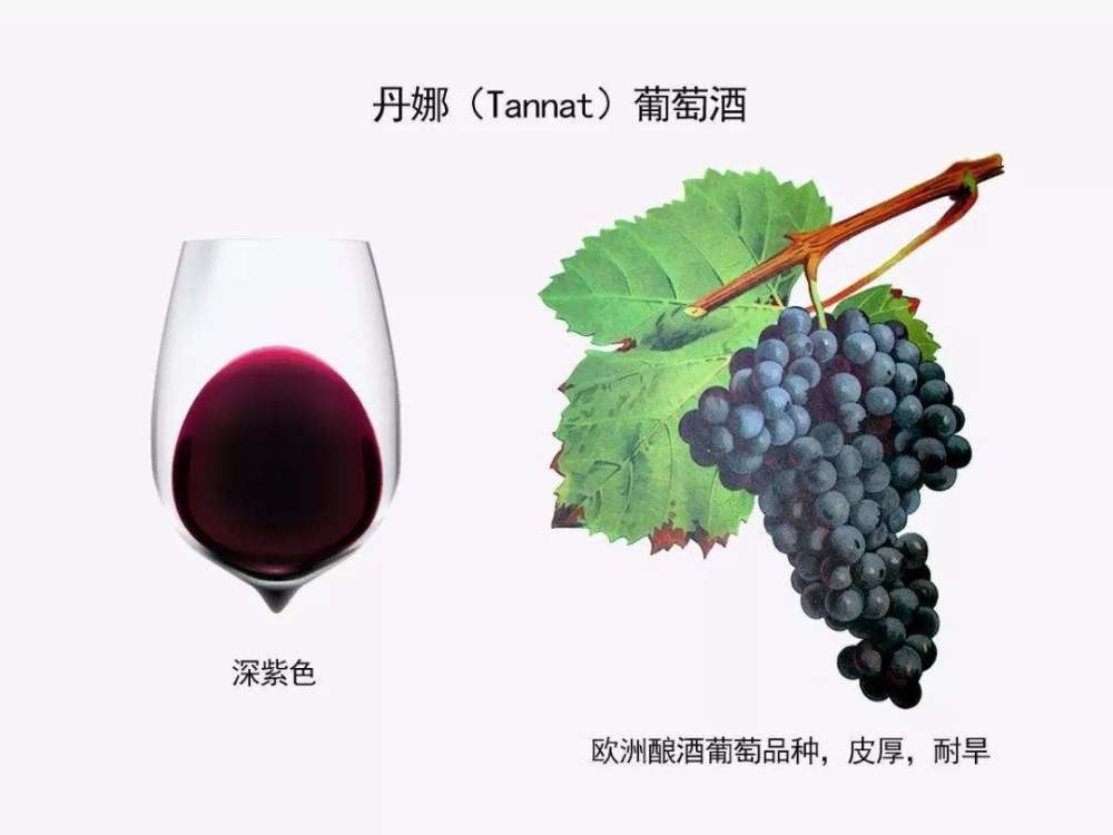 丹娜葡萄酒,科普最常见的100种葡萄酒佳酿之一的丹娜葡萄酒!