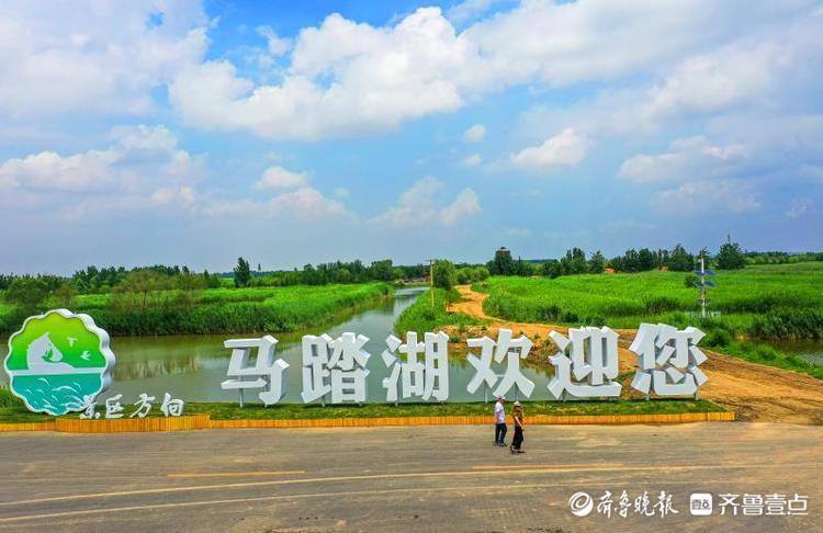 马踏湖欢迎你盛夏时节美景入画