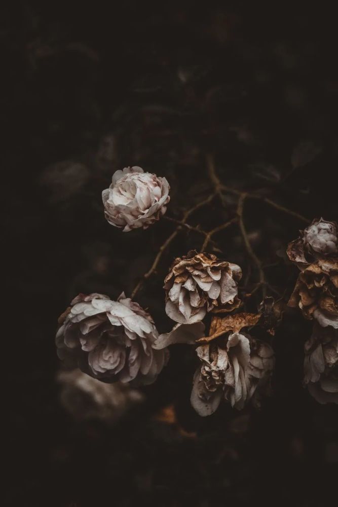 巨蟹座新月 在爱与疗愈之中 请求一个全新的起点 腾讯新闻