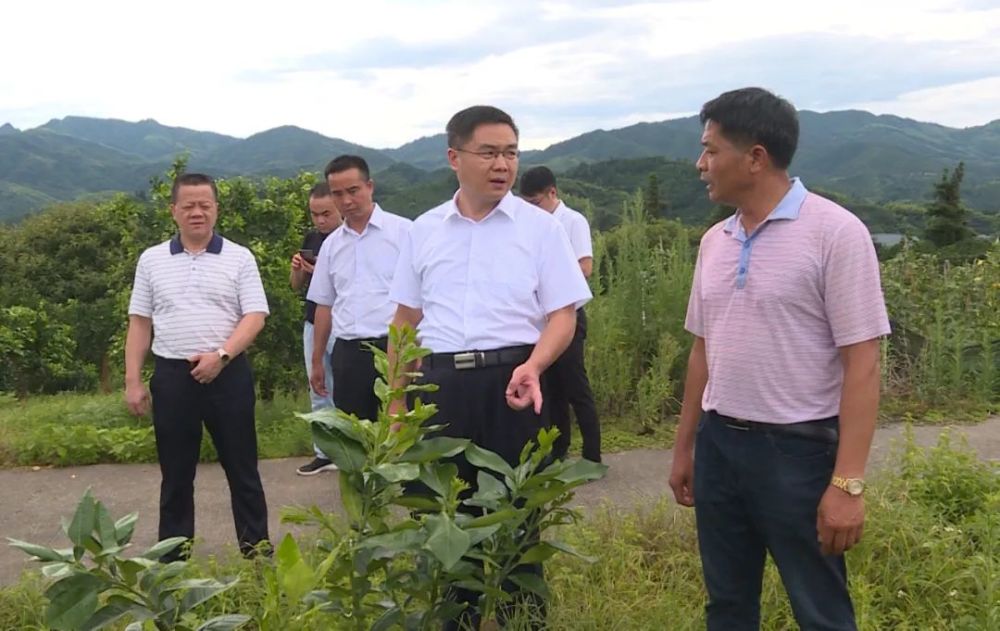 伍罕鸣:科学谋划 系统推进 打造"山乡巨变"的洪江样板_腾讯新闻