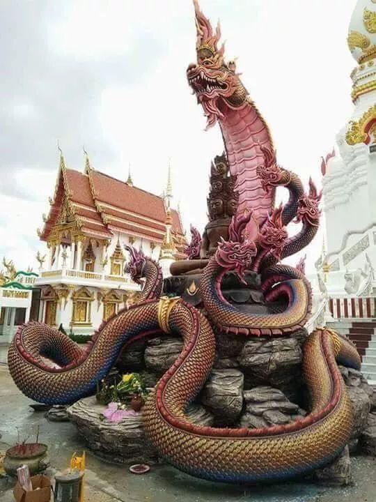 神奇而又神秘的"神龙吐珠"