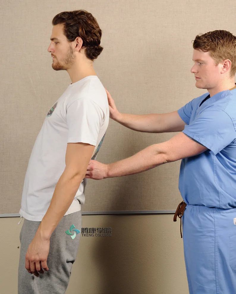 疼痛解剖学|检查腰椎小关节痛:kemp试验