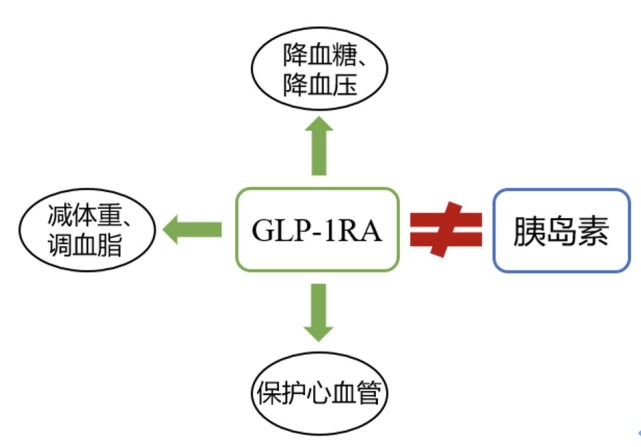 glp1受体激动剂糖友们想了解的那些事儿