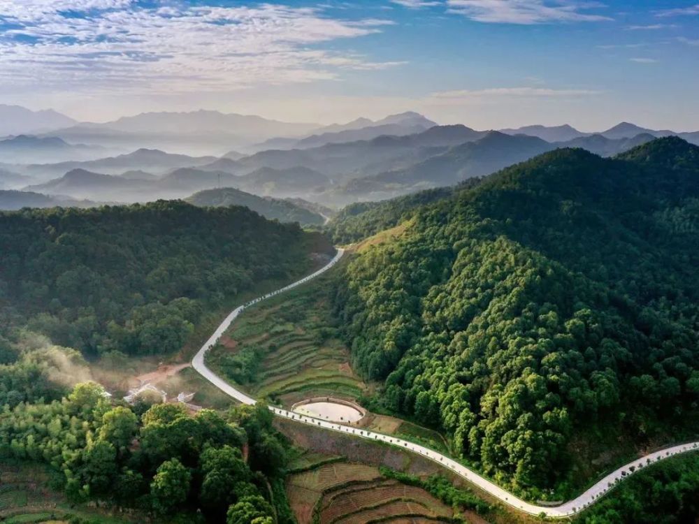 爆照!据说蕲春这几条路宛如行走的山水画_腾讯新闻