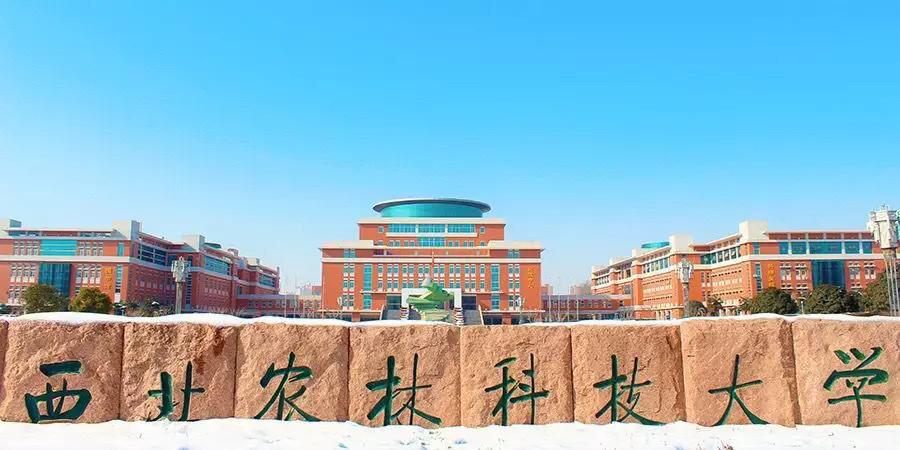 全国人口排行榜_中国农林大学排名,福建农大上榜,第一名实至名归!