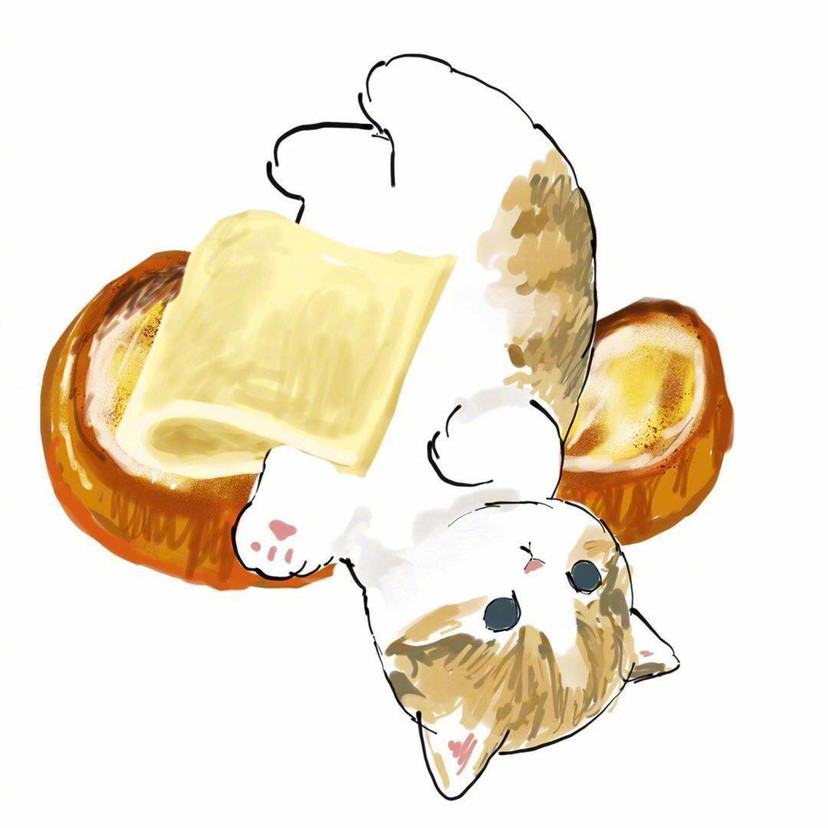 猫猫吐司头像