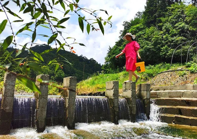 德江鹿溪村:有位美丽的牛蛙公主