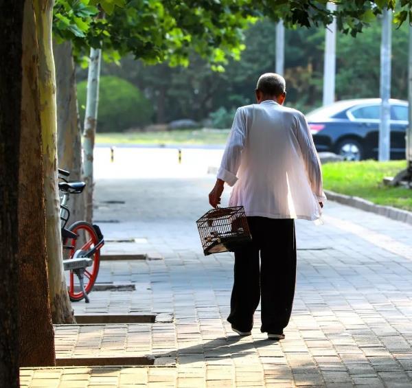 来北京你就是孙子?北京大爷怒喷外地人,网友:你怕是想吃牢饭