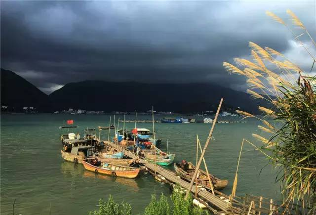 玩转福鼎之店下管阳龙安