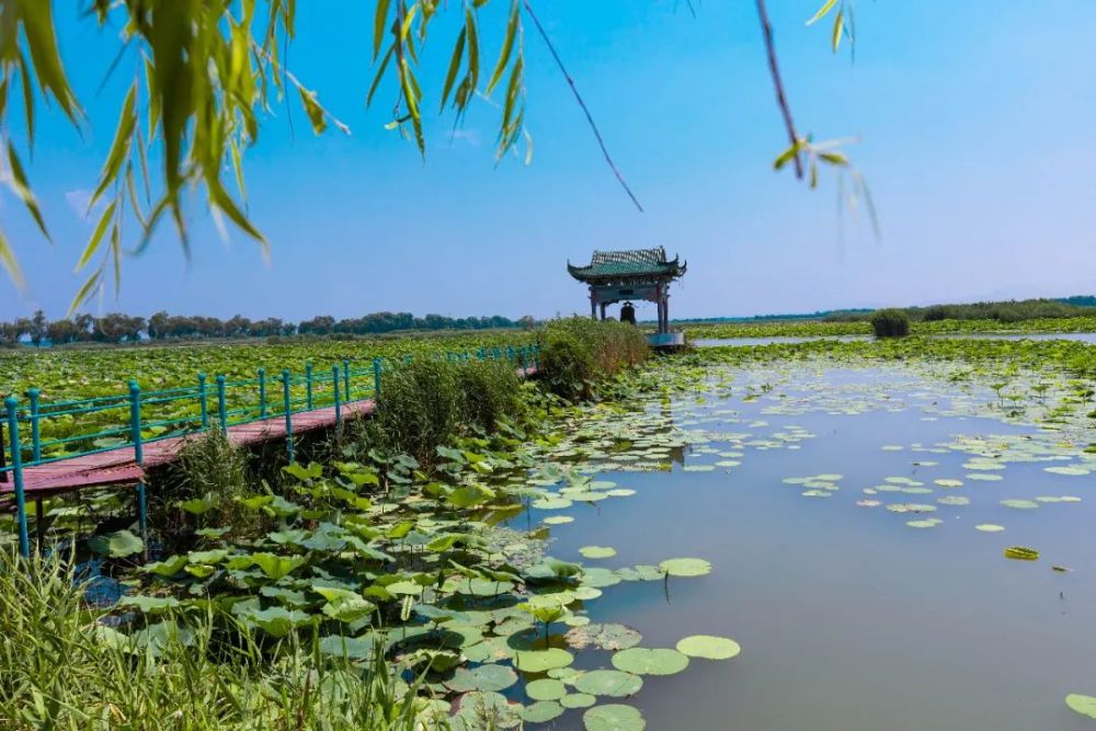 遇见济南█白云湖