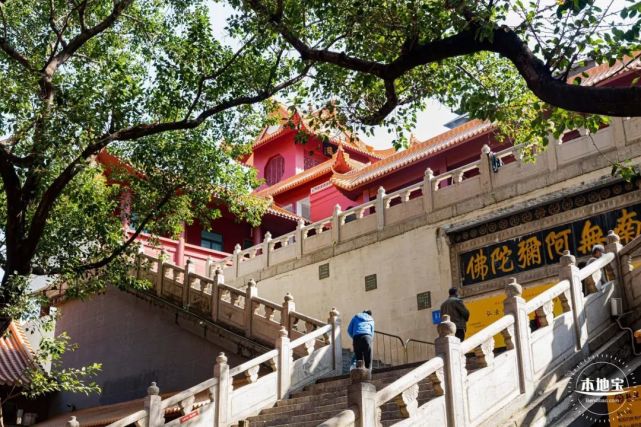 深圳寺廟什麼時候恢復開放