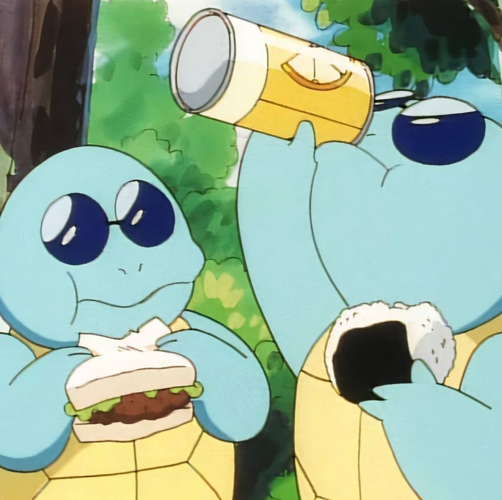 动漫域神奇宝贝龟龟集