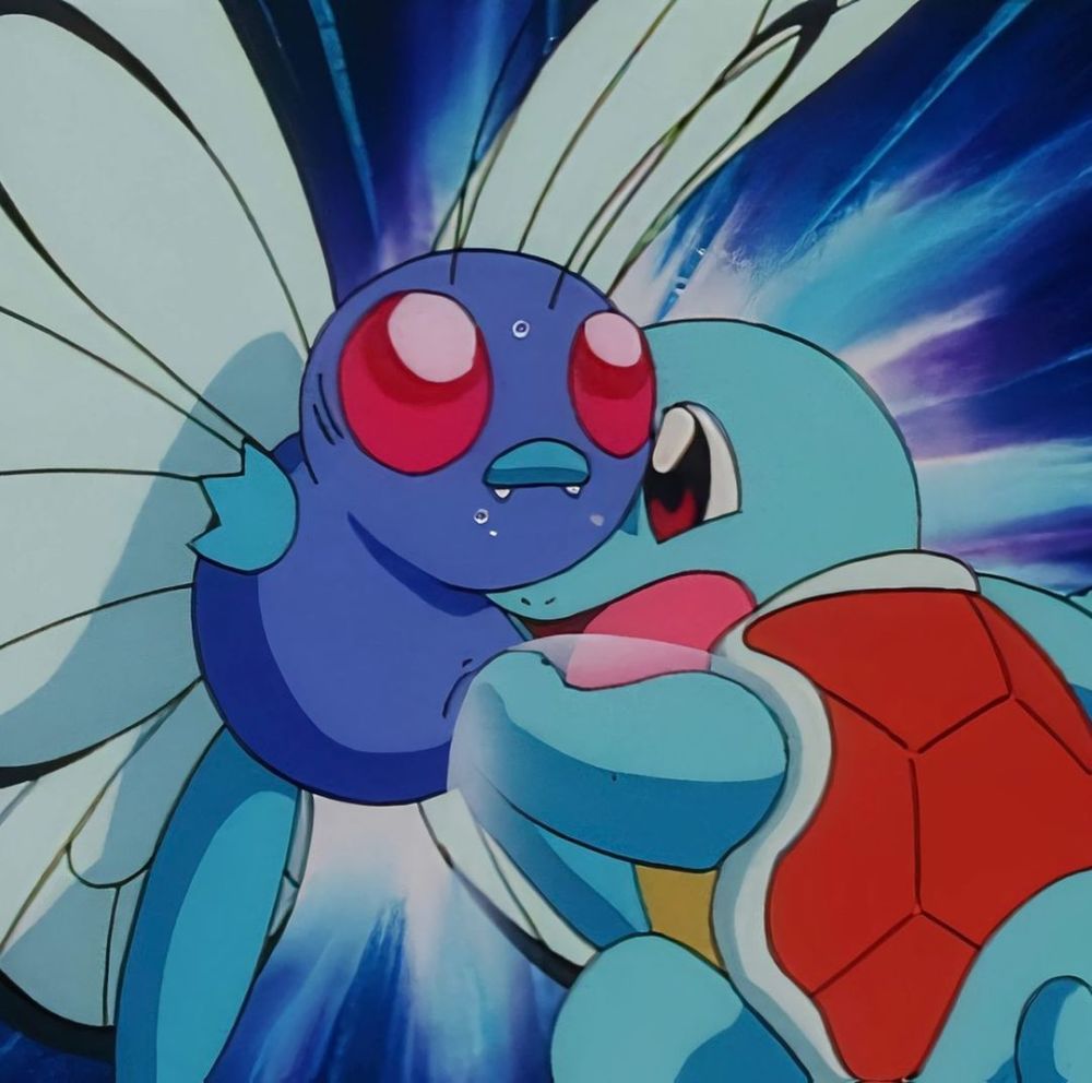 动漫域神奇宝贝龟龟集