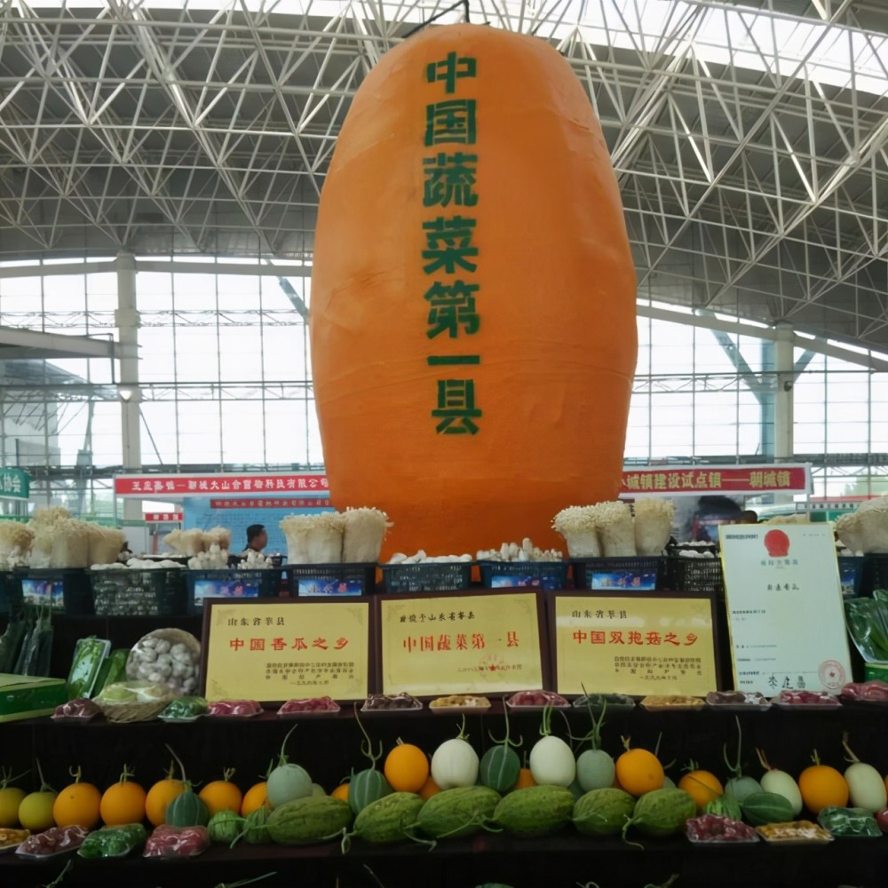 土层深厚,特殊的地理环境使莘县成为全国有名的农业生产大县,蔬菜大县