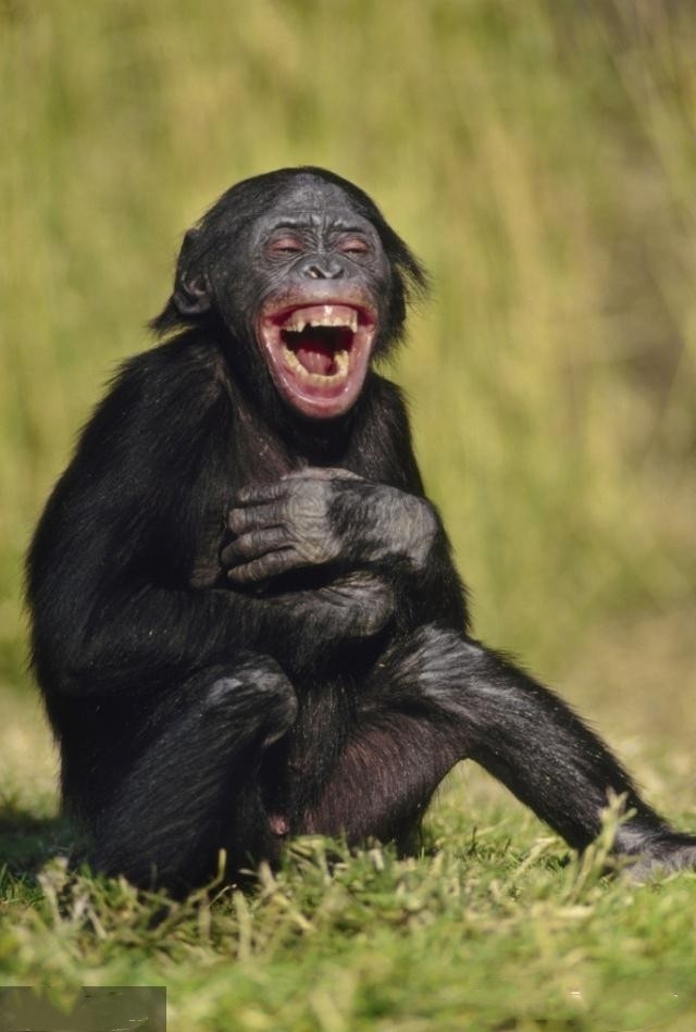 识别真笑和假笑