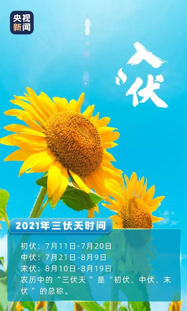 三亚最高气温