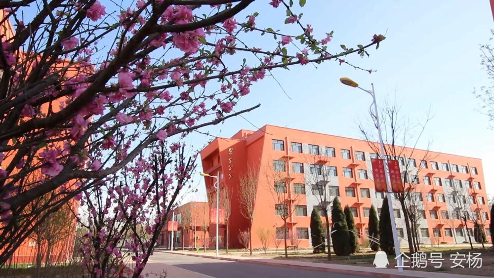 答案是202人.这就是一个衡水一中.