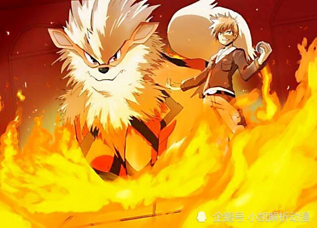 精灵宝可梦 颜值与实力并存五只犬类宝可梦 都有共同特征 腾讯新闻