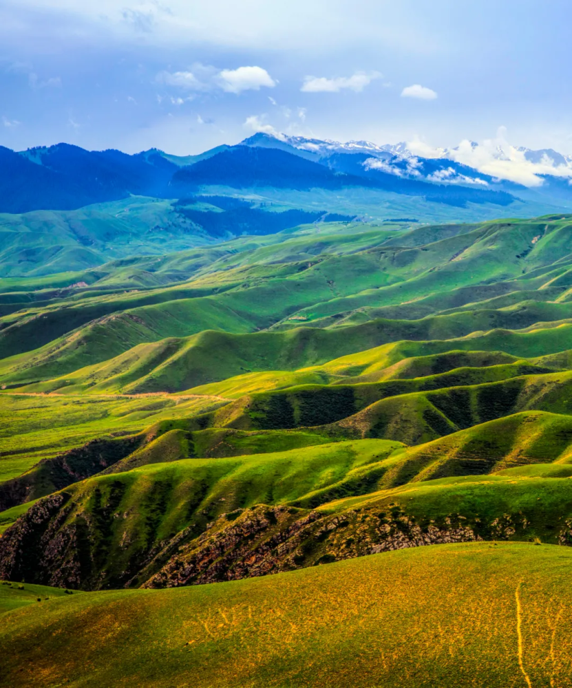 藏在天山深处的乌孙古道,美得惊艳!这么美的景,你想去看看吗?