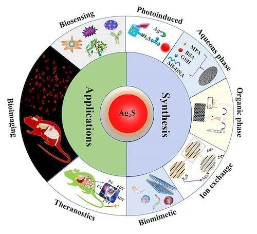 am杭師大綜述近紅外硫化銀量子點的合成及其在生物應用