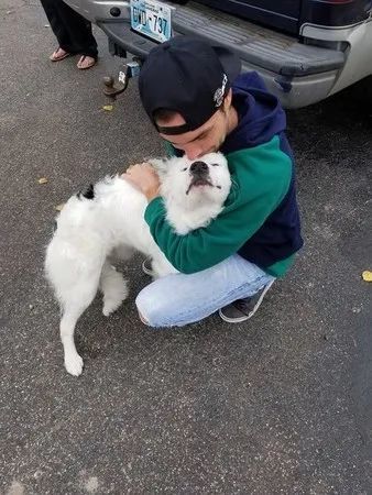 皮肤病流浪狗一碰就痛,不敢亲人,见新爸扑上去抱抱撒娇