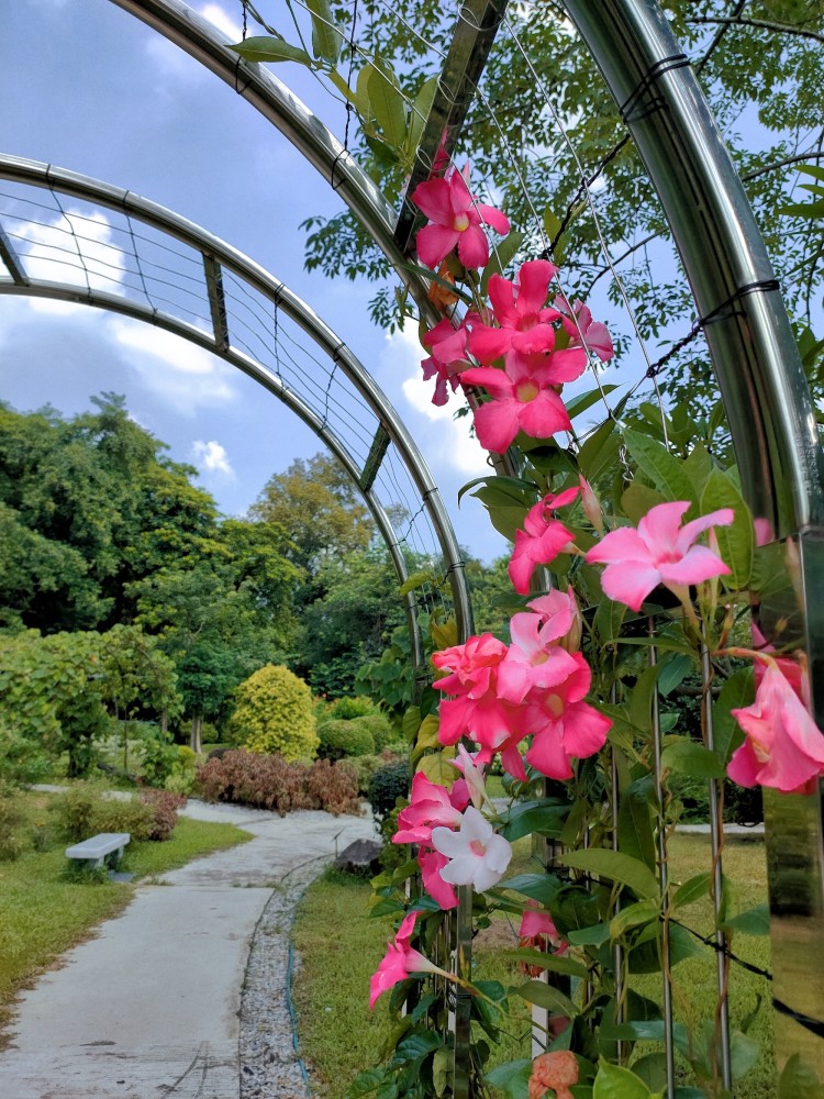 萬國奇樹博覽園之廣州華南植物園旅遊攻略