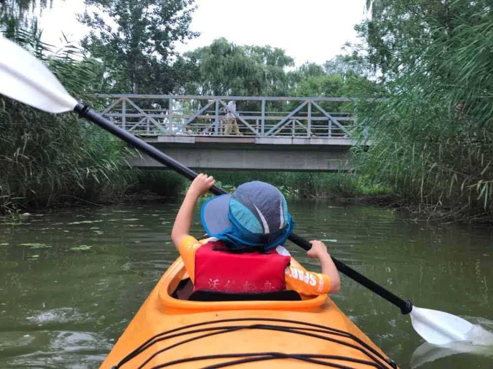 奥森皮划艇初体验误入藕花深处