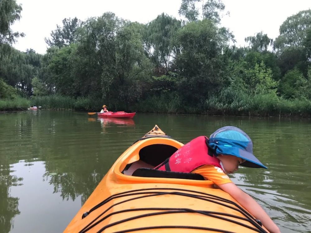 奥森皮划艇初体验误入藕花深处