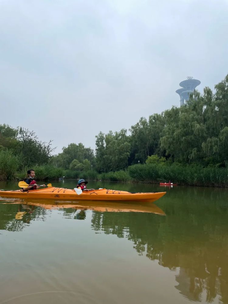 奥森皮划艇初体验误入藕花深处