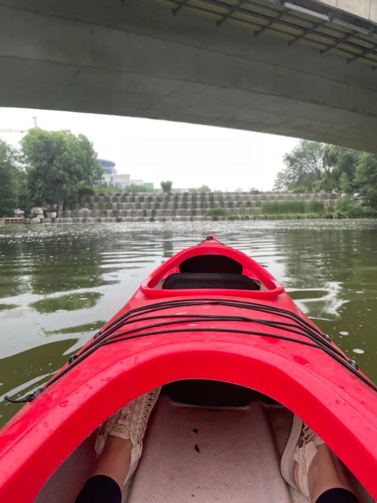 奥森皮划艇初体验误入藕花深处