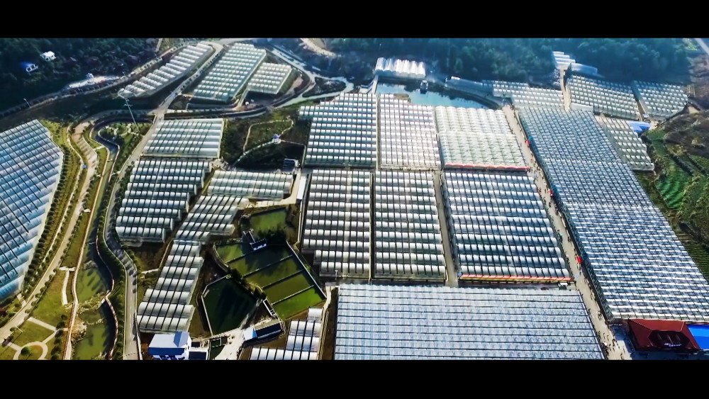 【聚焦生态文明贵阳国际论坛】有颜有料!贵州又双叒叕绿了