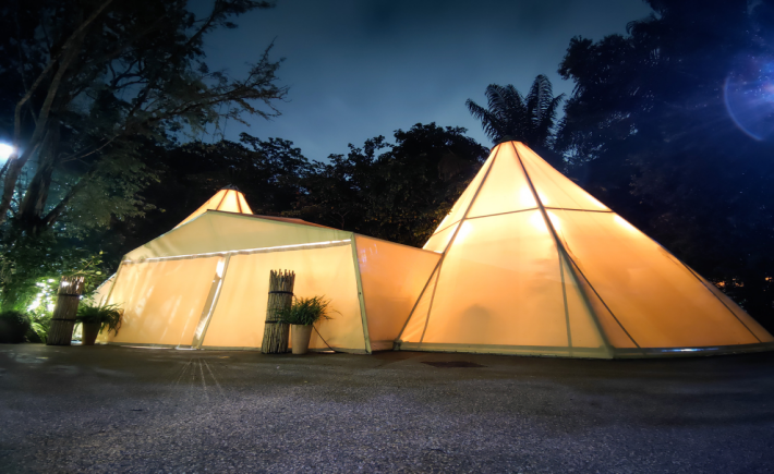 小米新加坡牵手nightsafari动物园网红大象温情满满