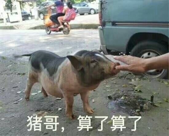 沙雕经典的神回复