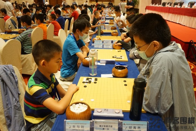 凯心(汕头市围棋协会)肖婉昕(安徽队)陈佳乐(上海市围棋协会)赵千越