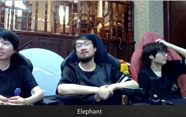 dota2:小象战队夺得预选赛冠军,众人皆言压力巨大
