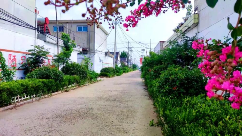 走进一个如诗如画的童话世界漫步在泉源镇东长埠村移步闻香抬头赏景