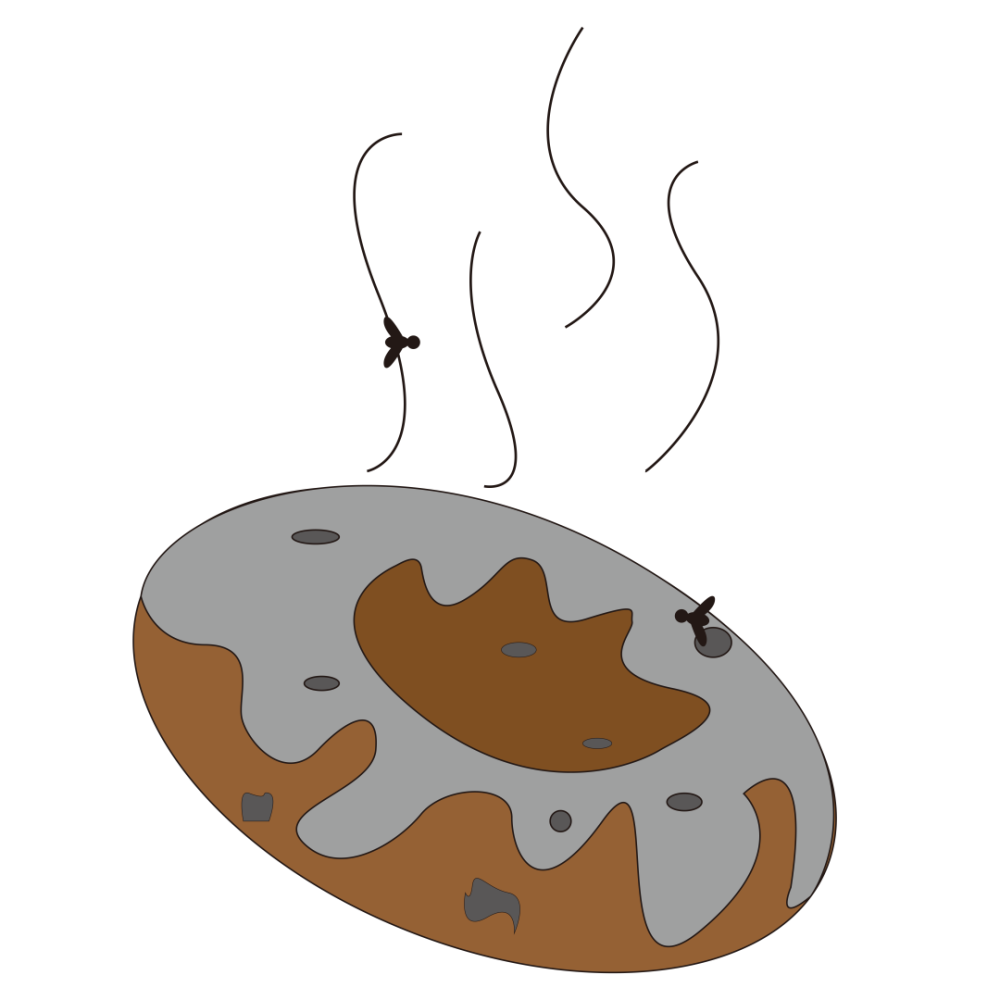 瓜果不食用;死因不明的动物不食用;野生的蘑菇不食用;生冷食物不食用