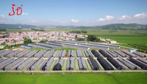 汤原县香兰镇新建村党支部副书记刘玉红现在我们农村不但环境变美了