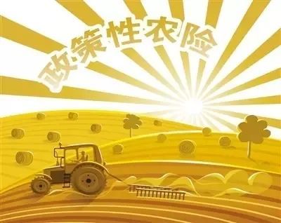 天门今年将实施8大类政策性农业保险