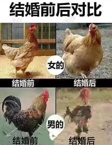 搞笑幽默段子笑话图片不笑你抽我:过年了,谁借我5000元?