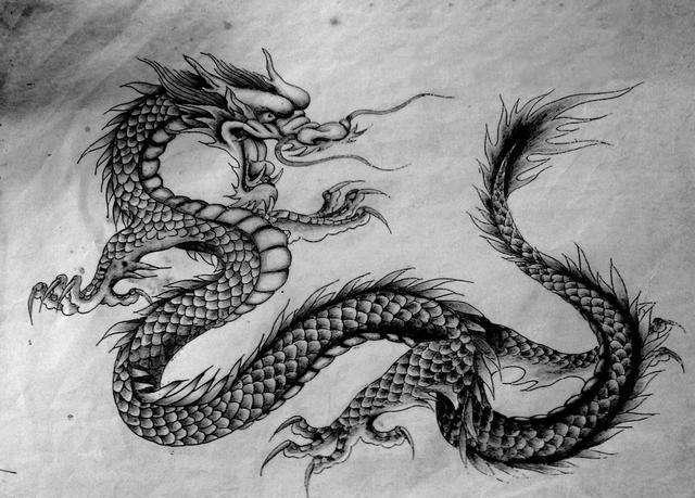 真龙降临东北轰动全国,老人意外得到5块龙骨,专家化验揭开真相