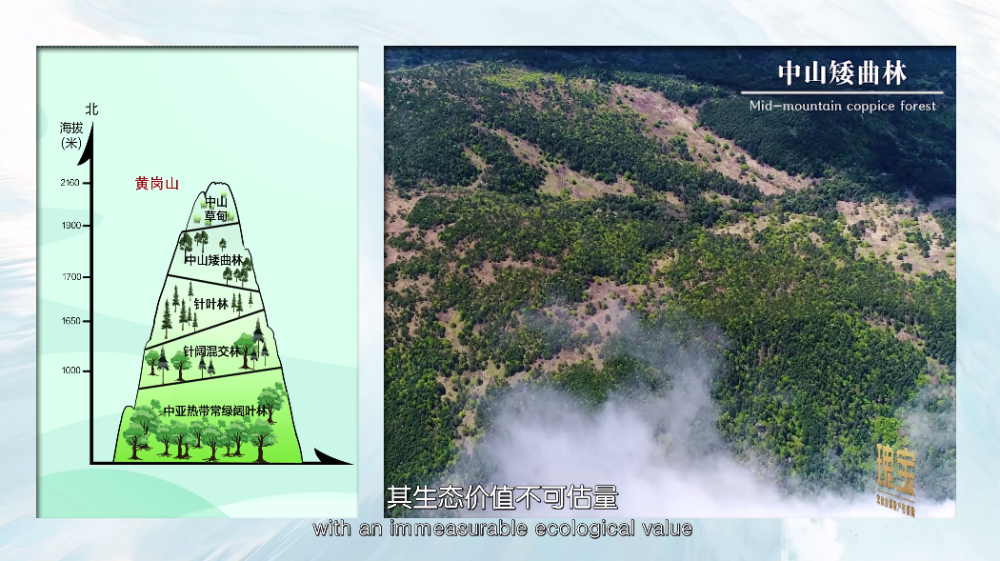 武夷山的植被垂直带谱囊括了中国中亚热带地区所有植被类型,还是中亚